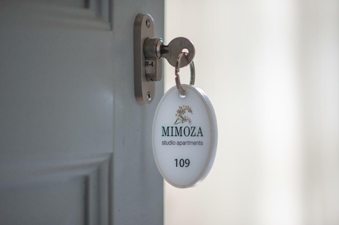 Hotel Mimoza Spétses Exterior foto